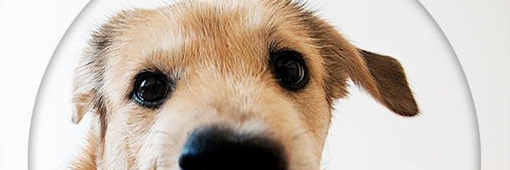 FriendsCodita's profile banner image