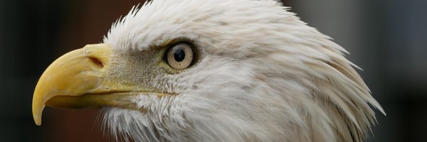 audubonCBOP Profile Banner