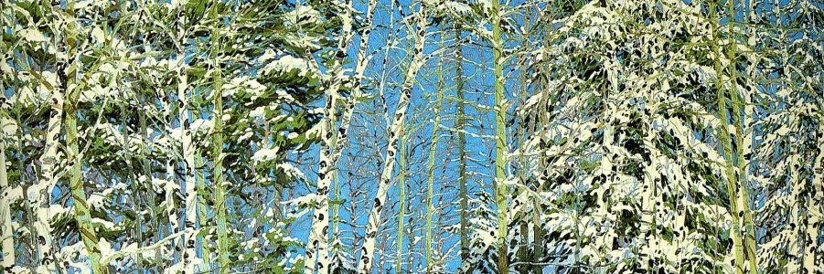 Peter Kringdon banner