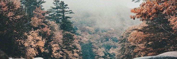 AlyssaWalshhh's profile banner image