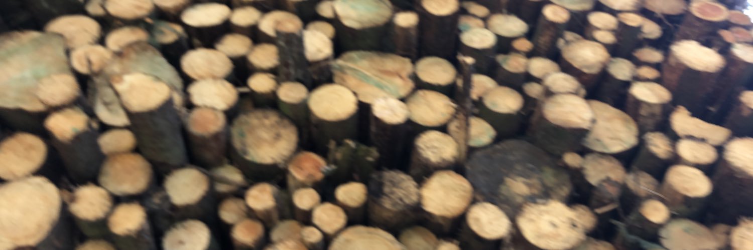 Shippey83's profile banner image