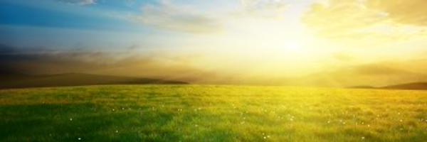 pompandpanache Profile Banner