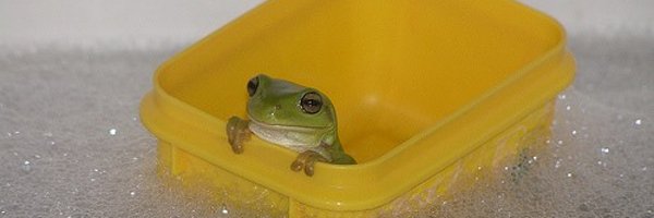 Tumithax Profile Banner