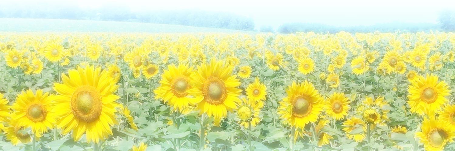rzywtz's profile banner image