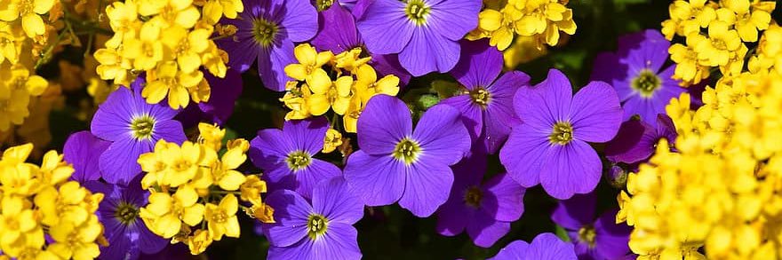 Robert Crown School banner