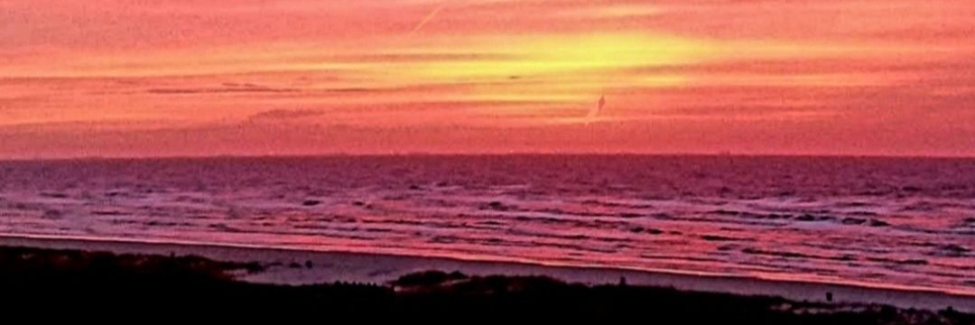 Deborah J Sterling banner