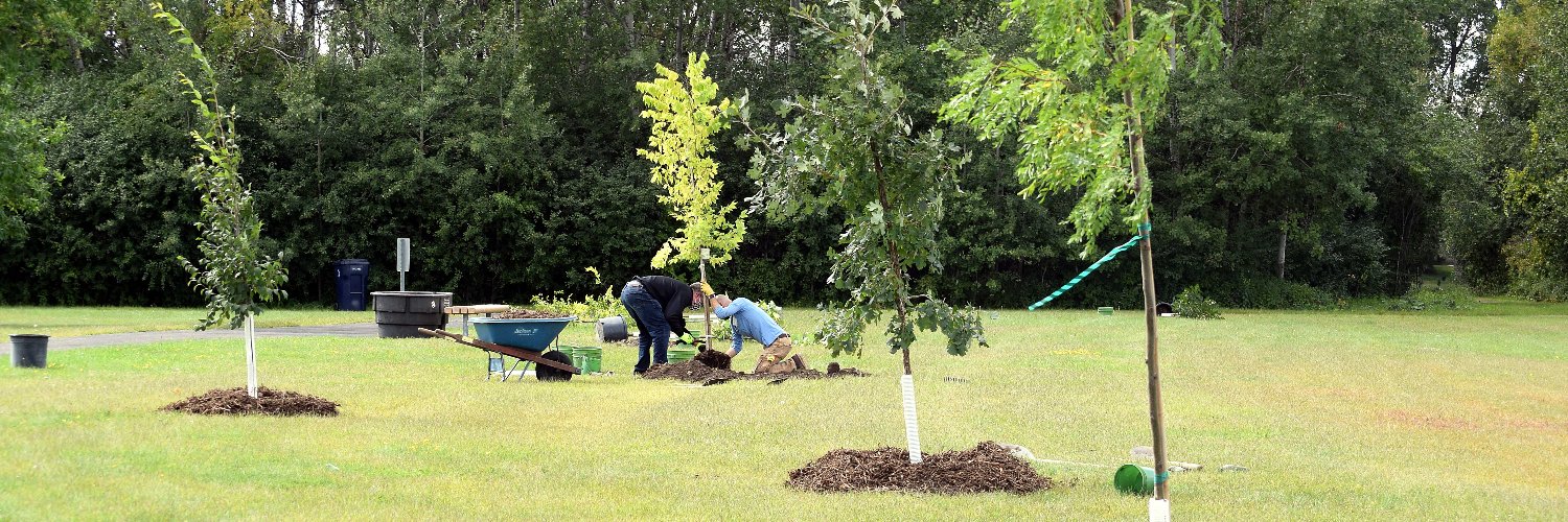 Tree Trust banner