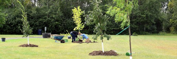 TreeTrust Profile Banner