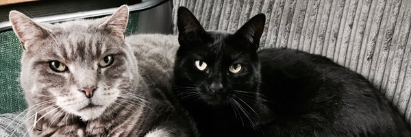 scott_mcgrane Profile Banner