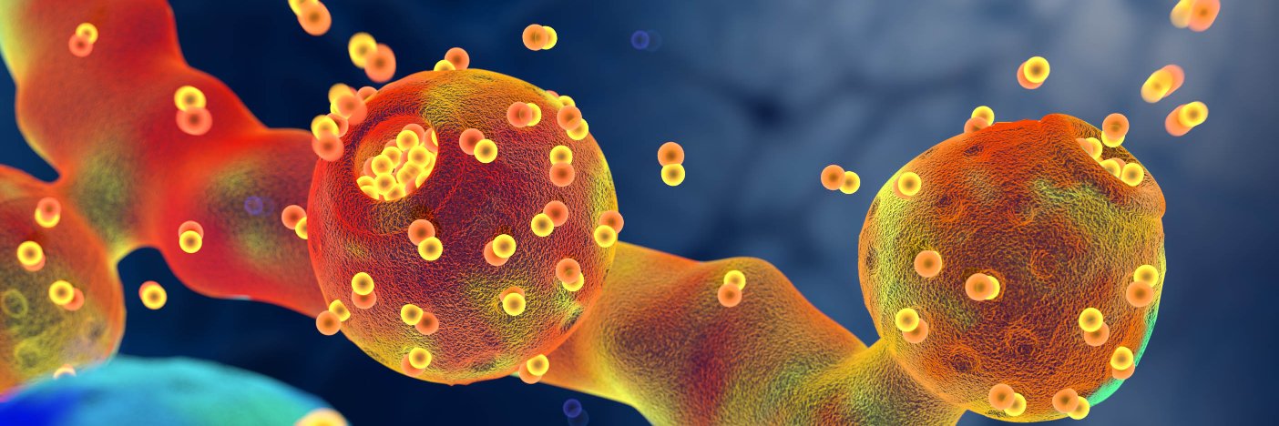 MP Neuroscience's banner