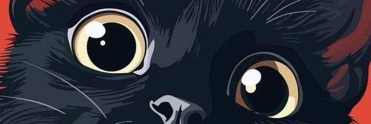 RenataLealT's profile banner image