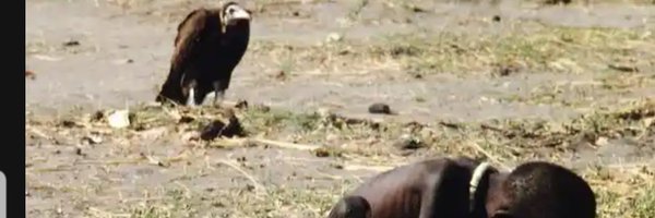 stumbue Profile Banner