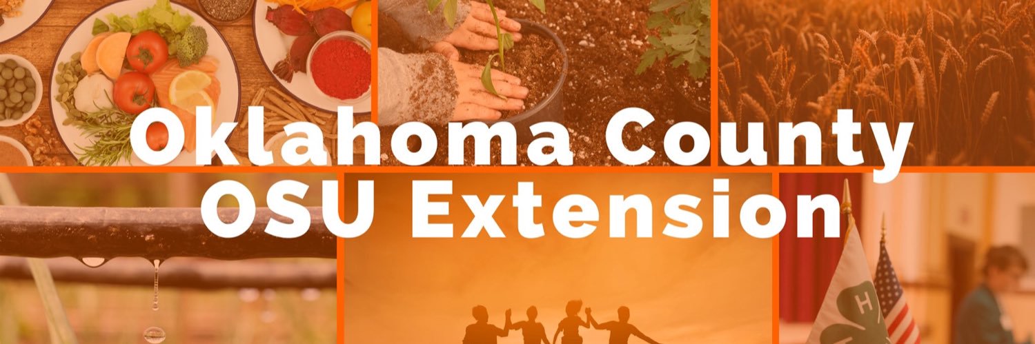OKCountyExt's profile banner image