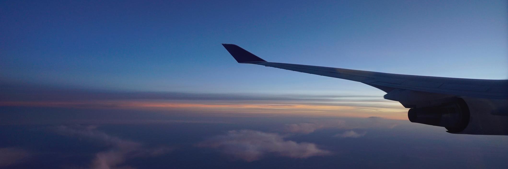 James Tippett banner