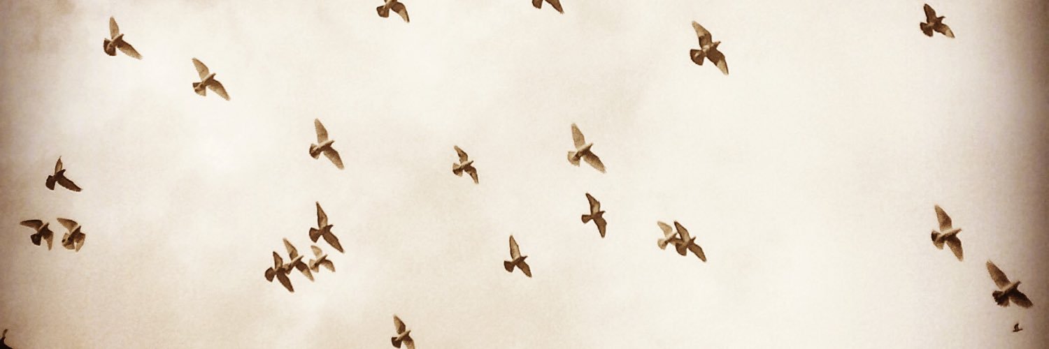 AugustusGhost's profile banner image