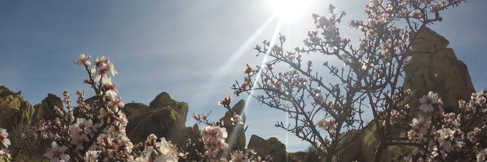 tikatikeu's profile banner image