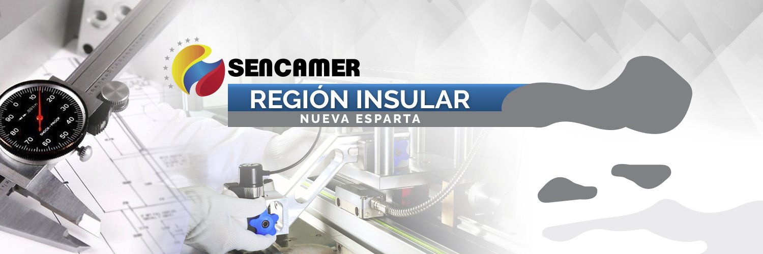 RGInsular's profile banner image