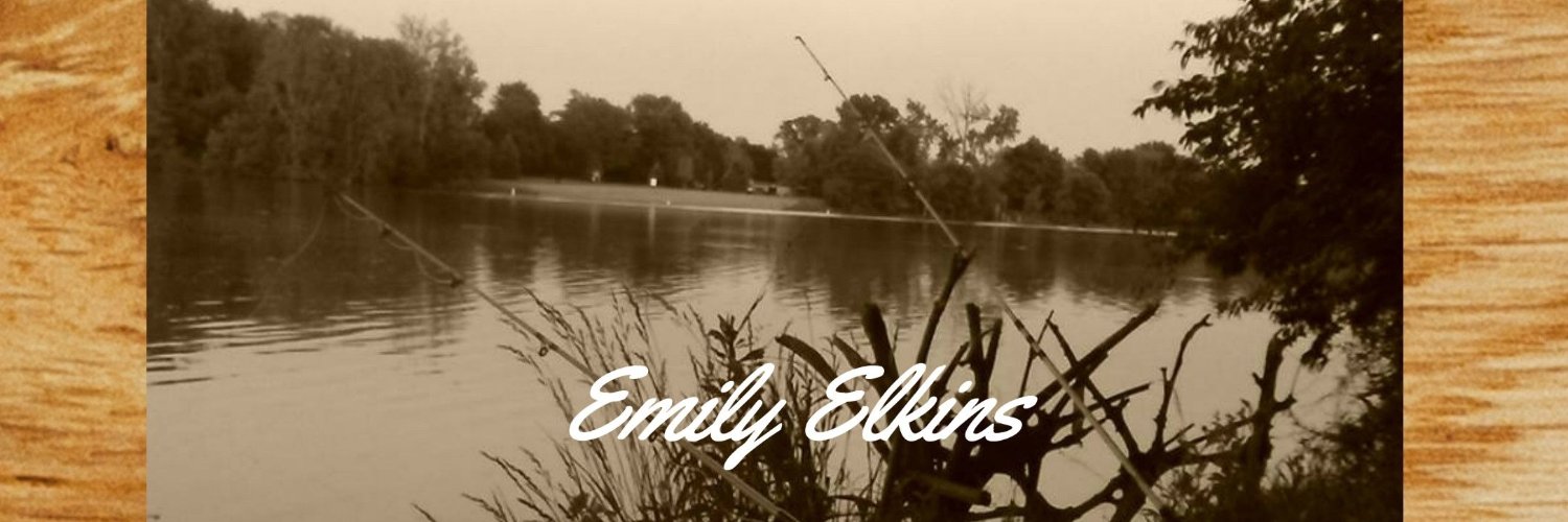 Emily Elkins banner