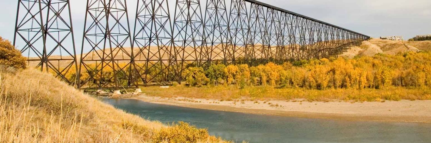 ScienceYQL's profile banner image