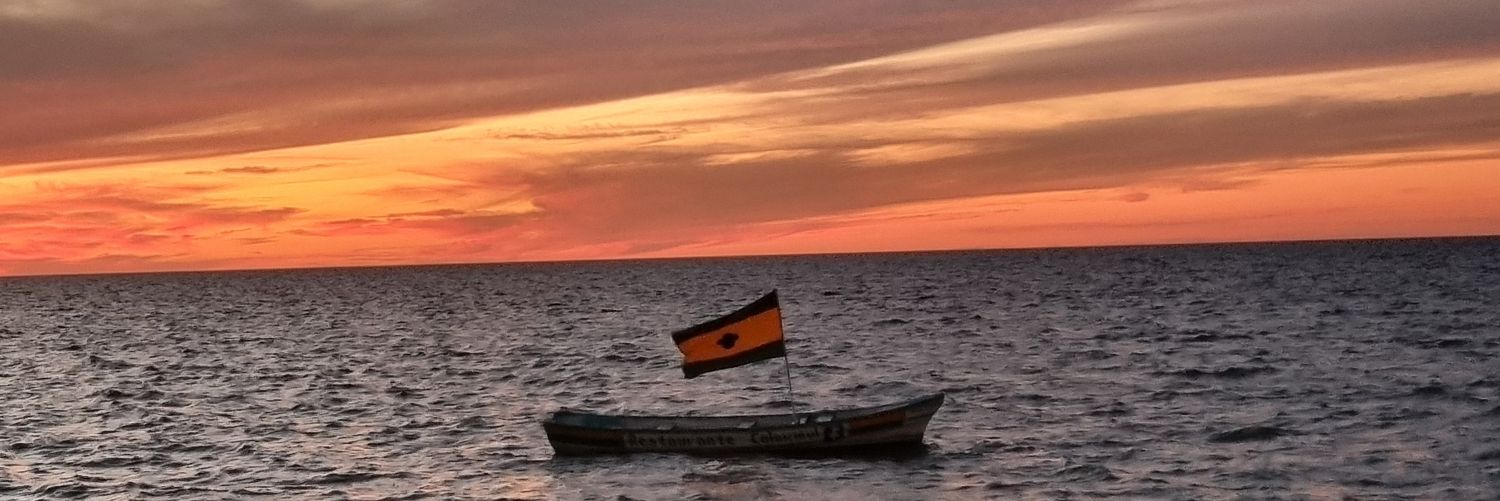 aromanflores's profile banner image