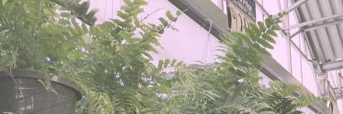 stylesxnyc's profile banner image