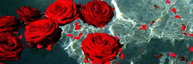 RawanMoe_'s profile banner image