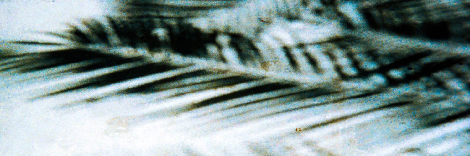 Dalton Conrad banner