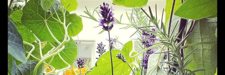 Compostable24's profile banner image