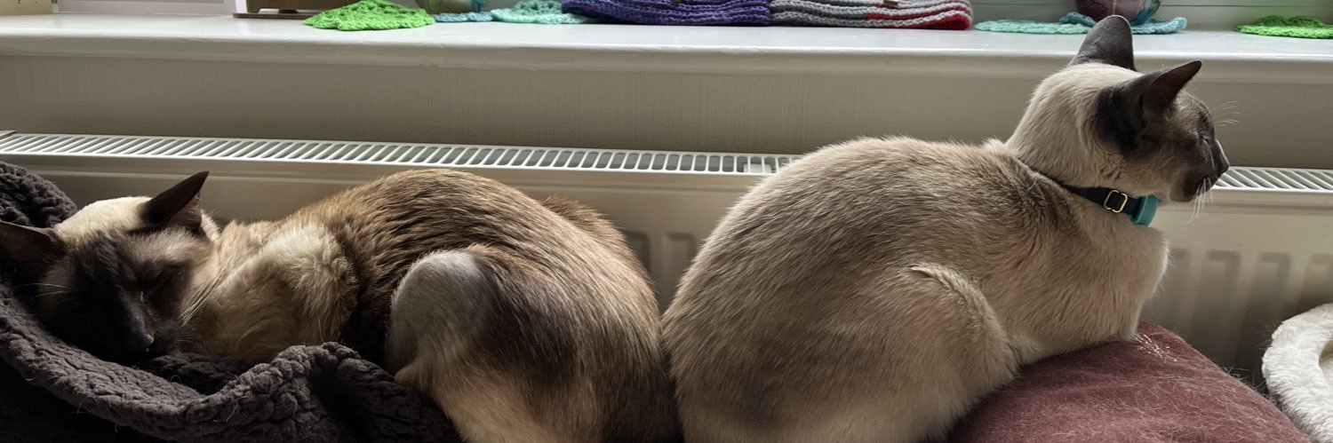 Sally with Ziggy🤎🌈19/11/25 & Tika🩶 banner