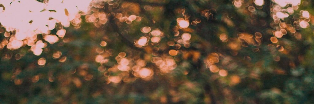 Runt. banner