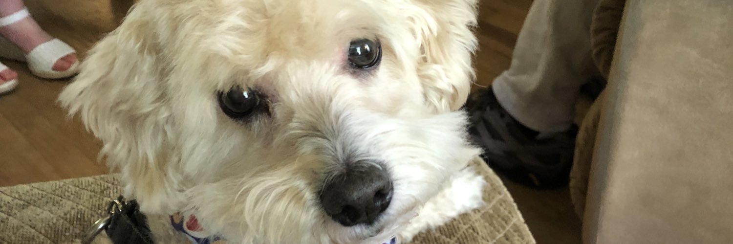 Nancy Graf🙏✝️⚓️💛🖤 banner