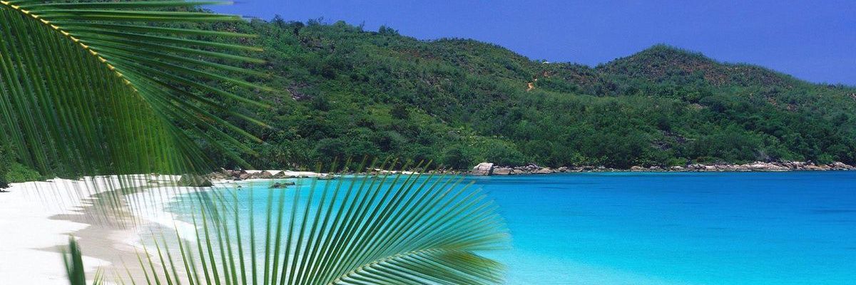 choidvachoi's profile banner image