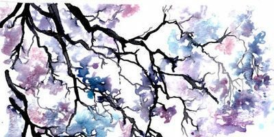 BrendaMtz116's profile banner image