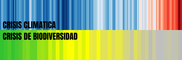 Matías Asun Profile Banner