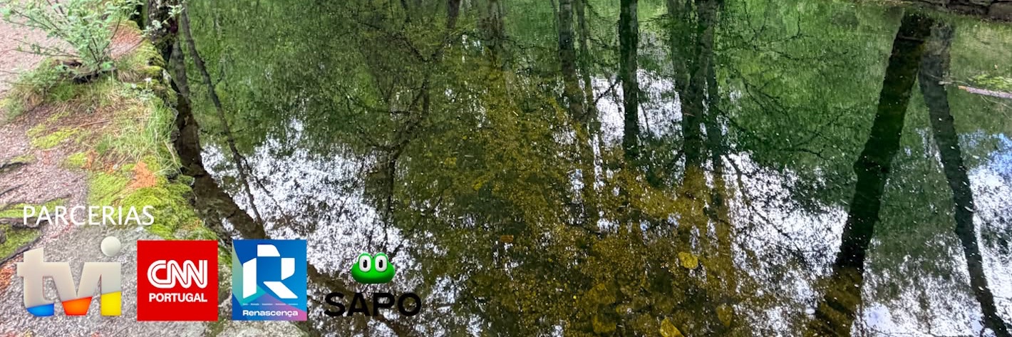 CentroTVpt's profile banner image