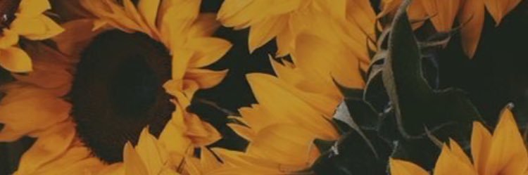 alihooper3's profile banner image