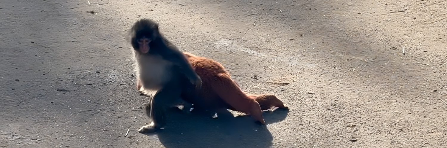 たくろ®︎ banner