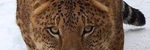 jaimemonenari's profile banner image