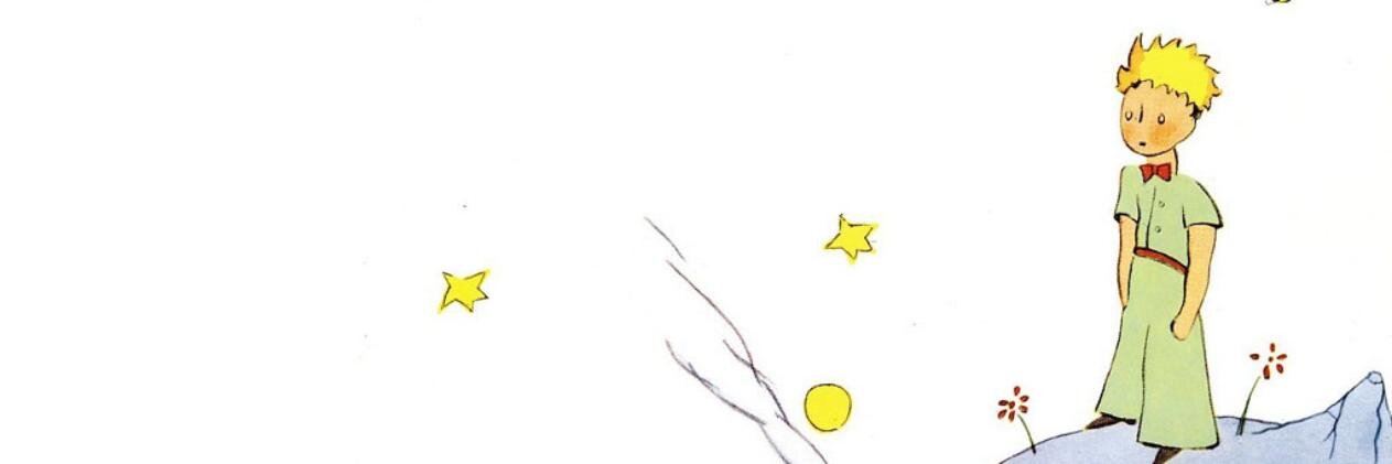 Pruniita's profile banner image