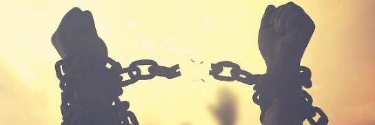 Alfyed81's profile banner image