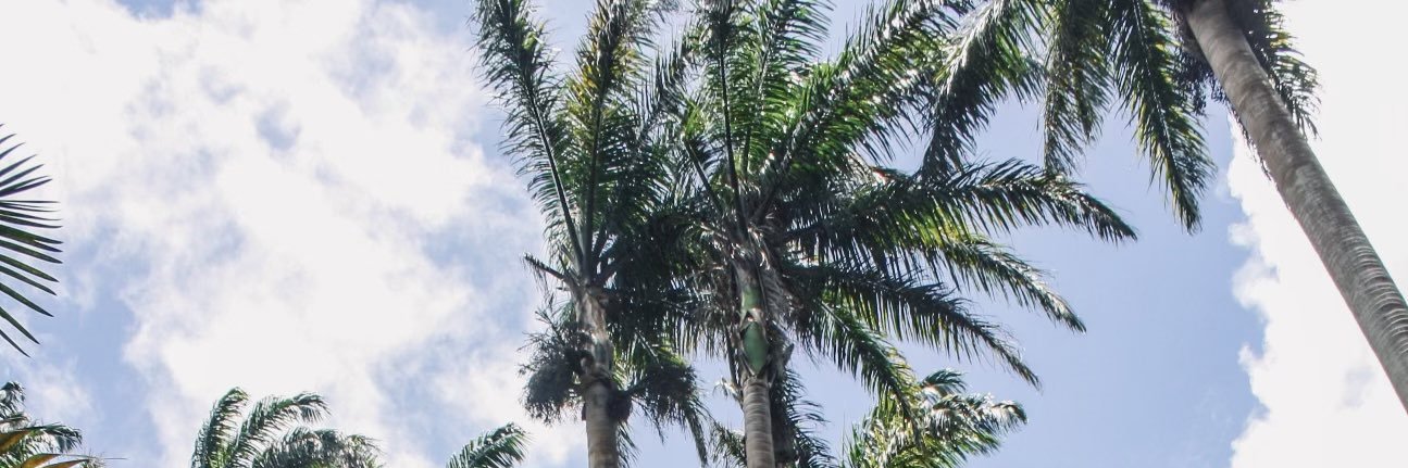 AlexYounge's profile banner image