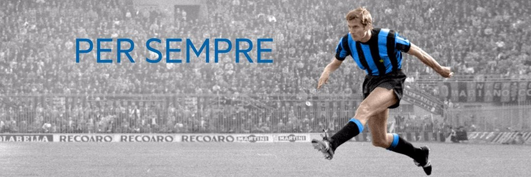 🍉 banner