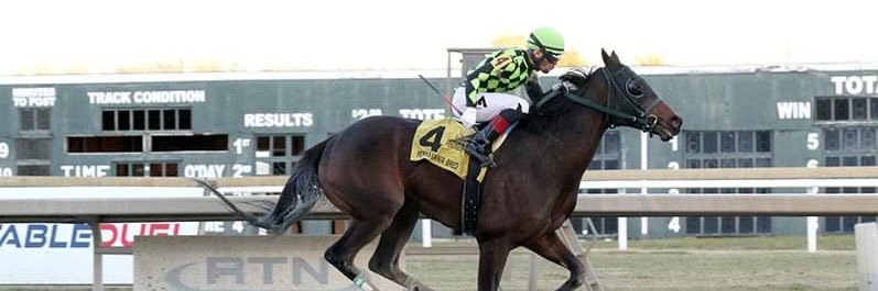 Sammy Roseman banner