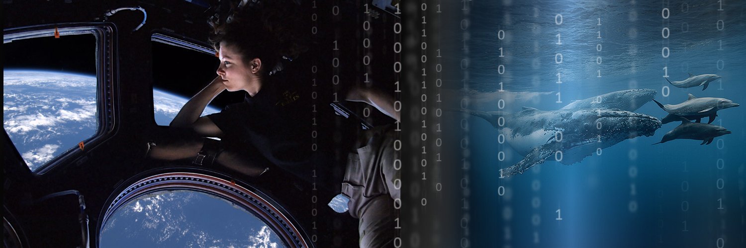 Maximillian Kaizen banner