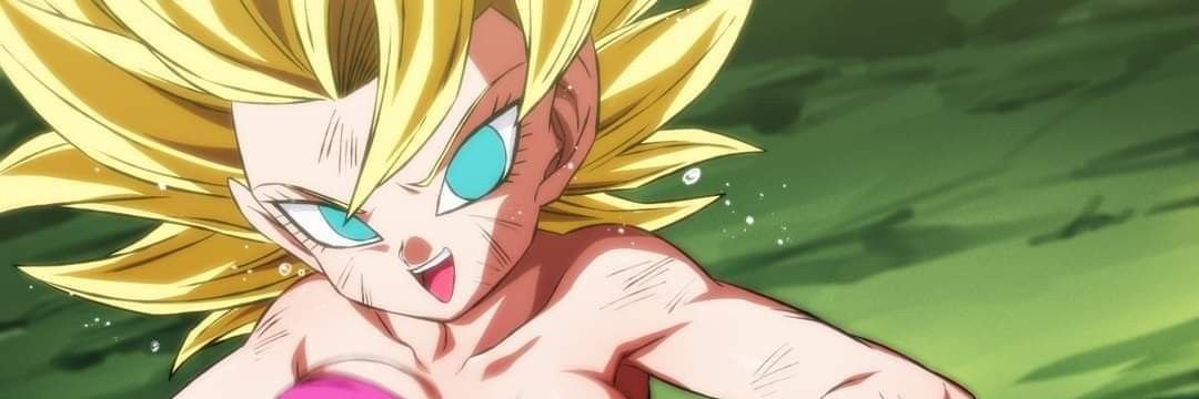 Francox2002 (Soy Moda de One Piece) banner