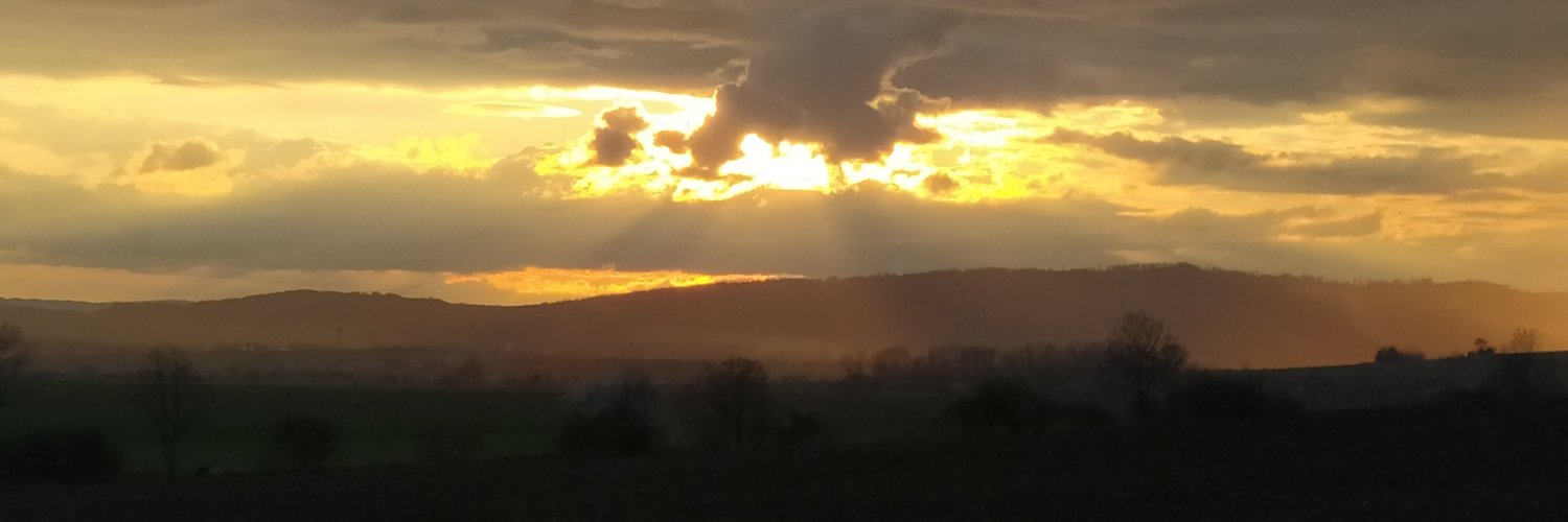 PatrikSenk's profile banner image