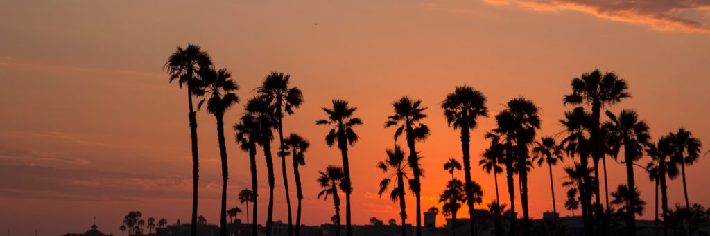 13cbake's profile banner image