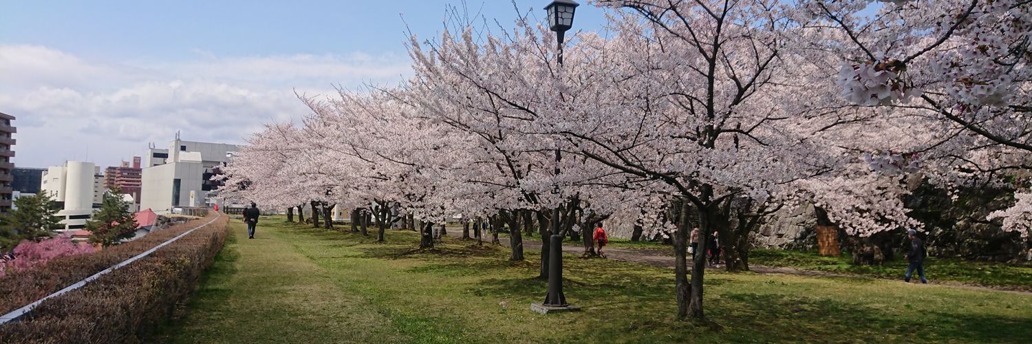 botamochin's profile banner image