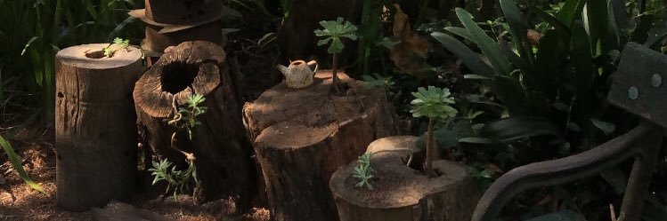 jprosso91's profile banner image