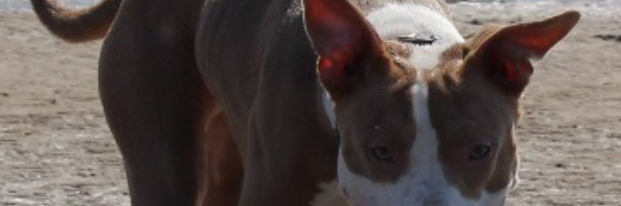 Ste01384's profile banner image